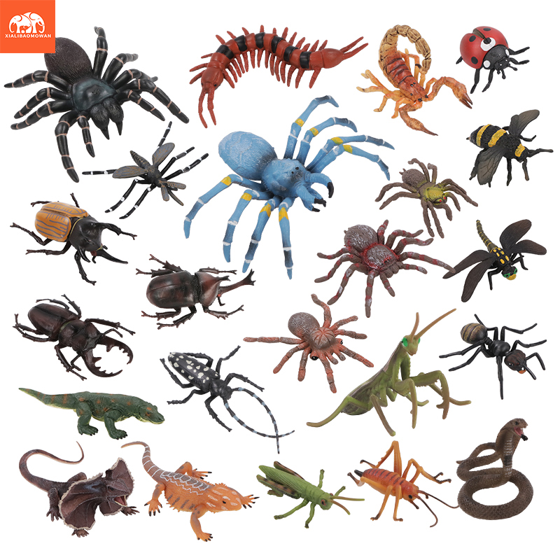 Educational Simulation Insect  - Kids Educational Game review and price