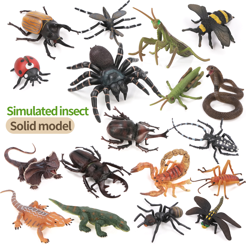 Educational Simulation Insect  - Kids Educational Game review and price